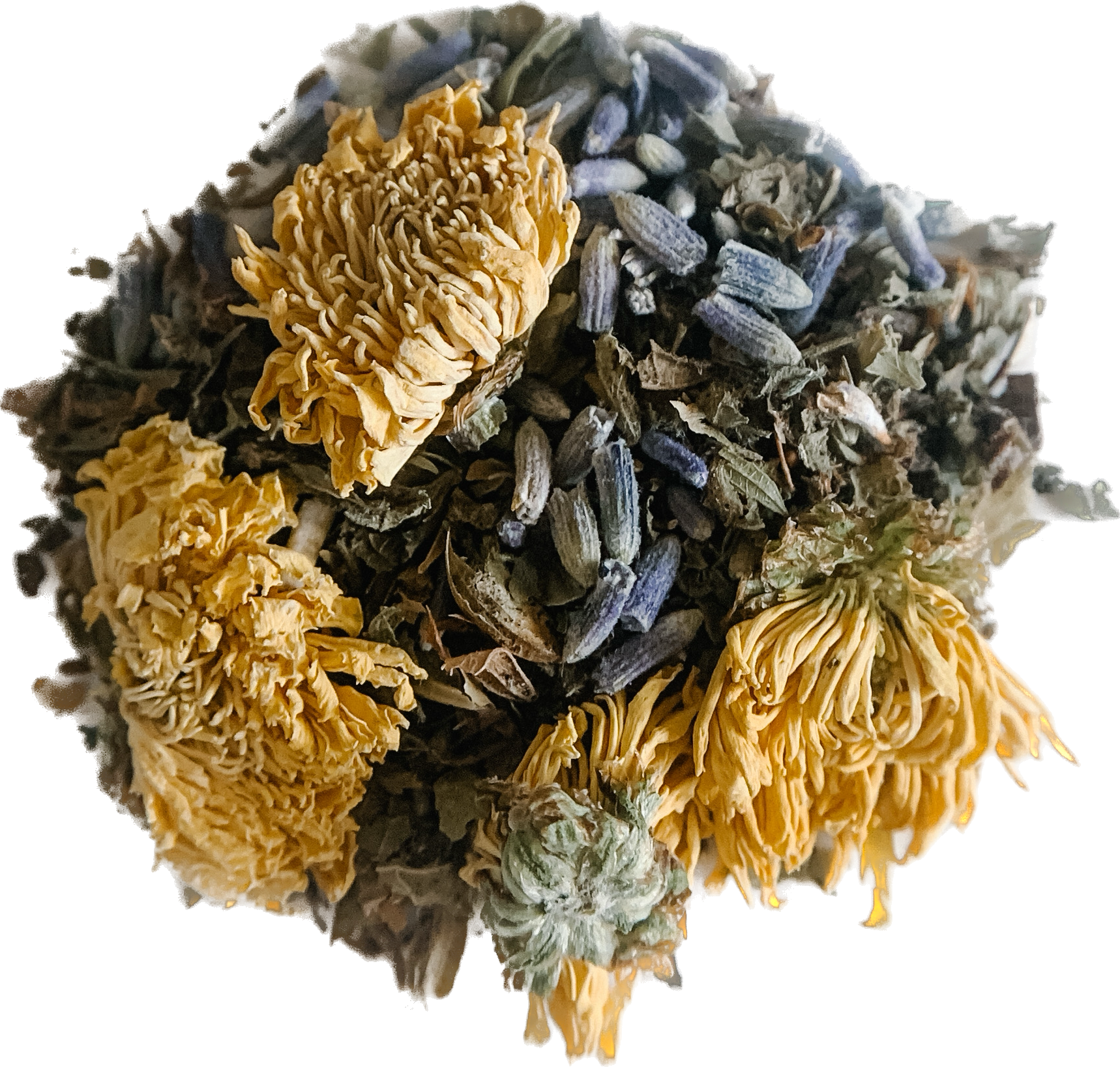 herbal medicine Pasadena